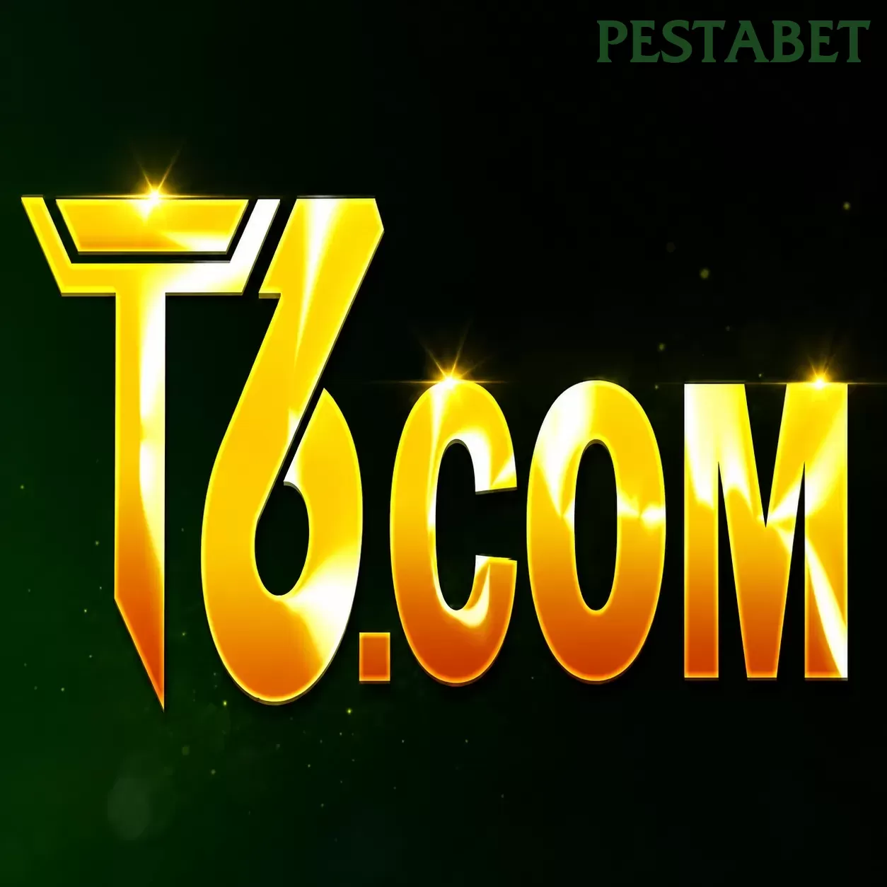 T6